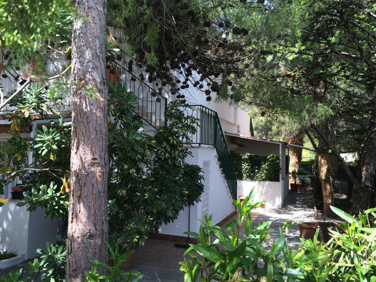Villa Irene ヴィエステ エクステリア 写真